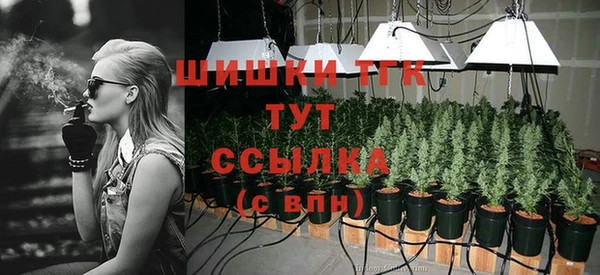 2c-b Верхний Тагил